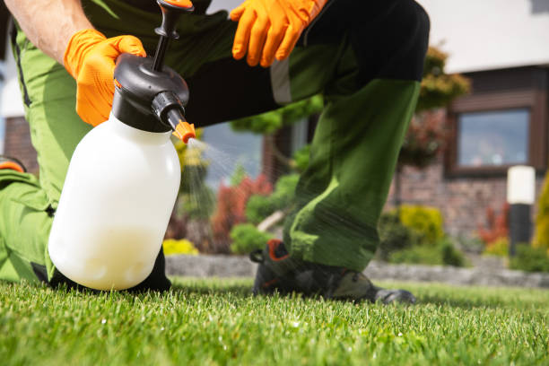 Wildlife Control Services in Clayton, IN