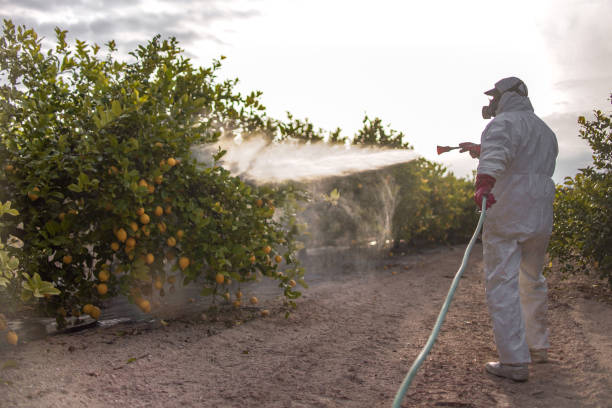 Best Residential Pest Control  in Clayton, IN