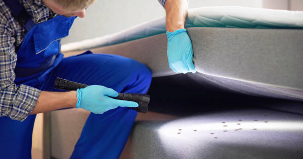 Best Commercial Pest Control Services  in Clayton, IN