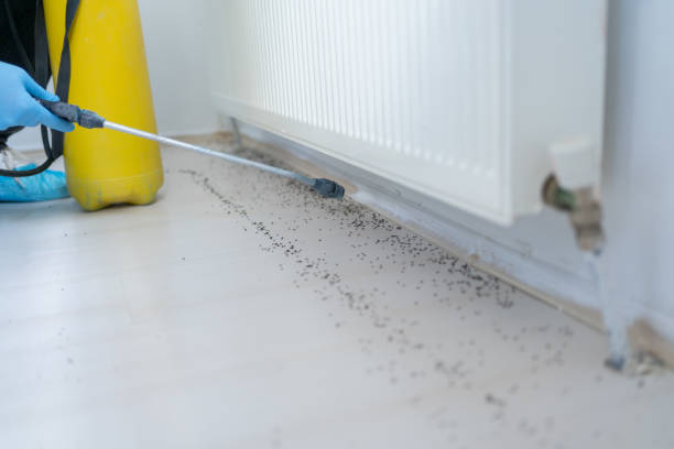 Best Spider Control Near Me  in Clayton, IN